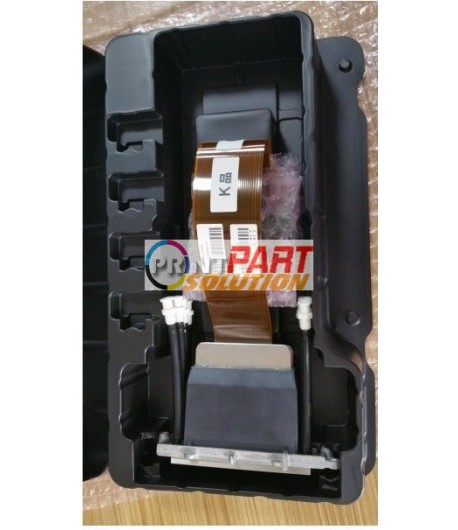 Ricoh GEN4L 15PL Printhead - MH2620 Printers
