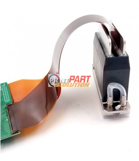 Ricoh MH5420 GEN5 N221414J Print Head (248mm)