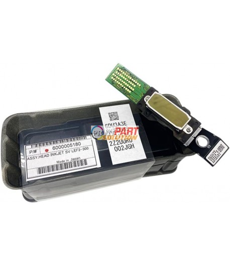 Roland DX4 Eco Solvent Printhead 1000002201